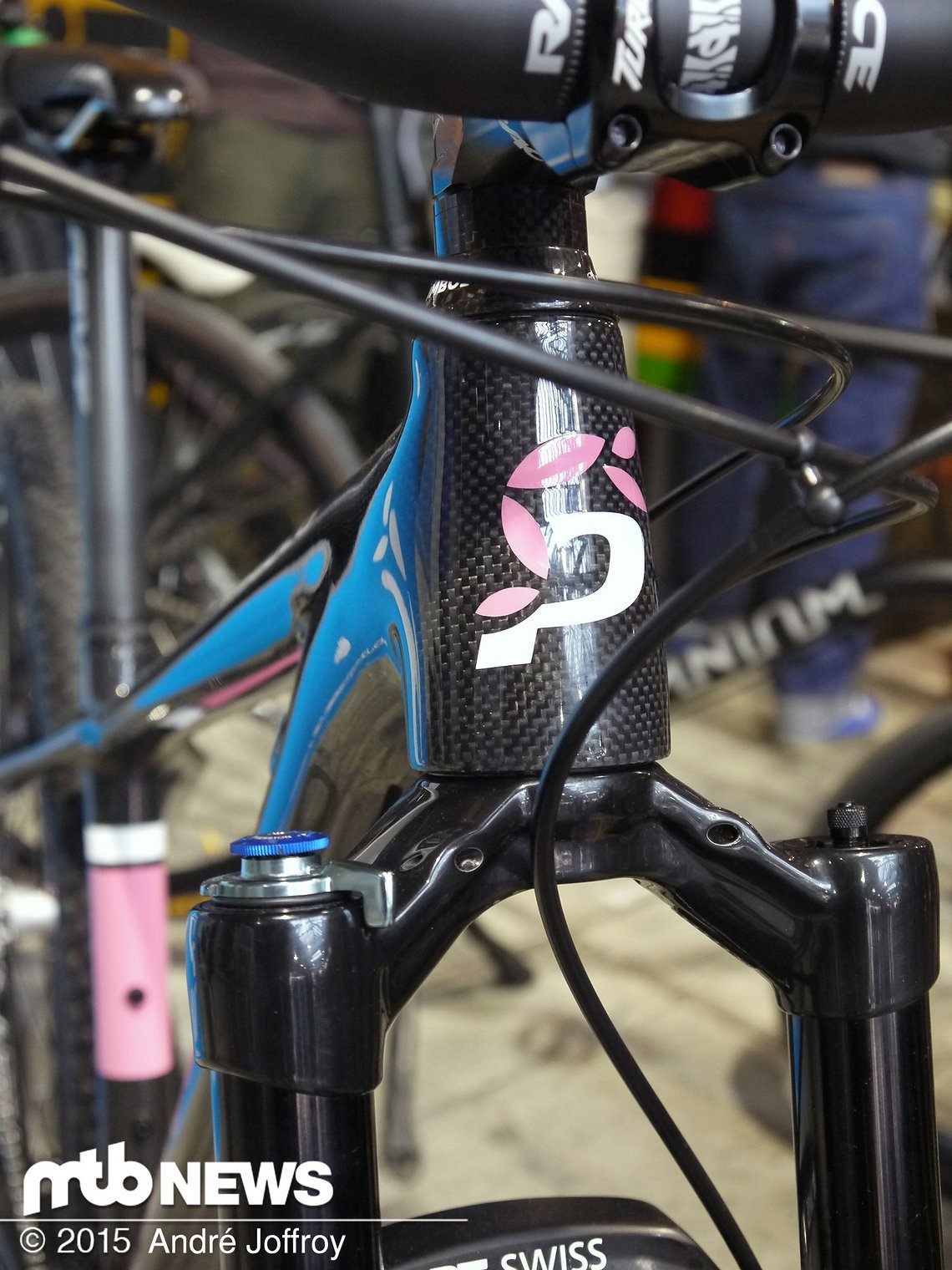 Pasculli 29er Steuerrohr und DT Swiss OPM Gabel