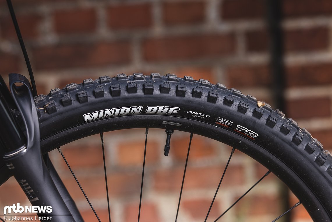 … treffen auf Agressor und Minion DHF von Maxxis.