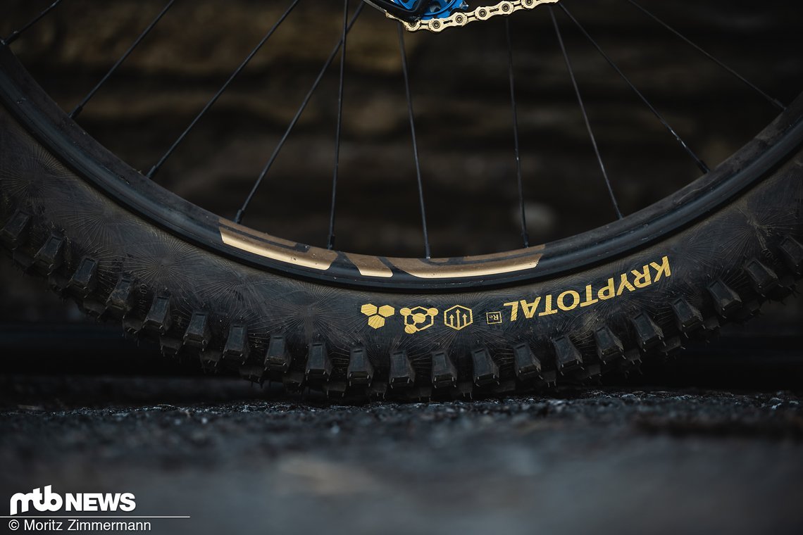 worlds-bikes-frameworks-asa-99799