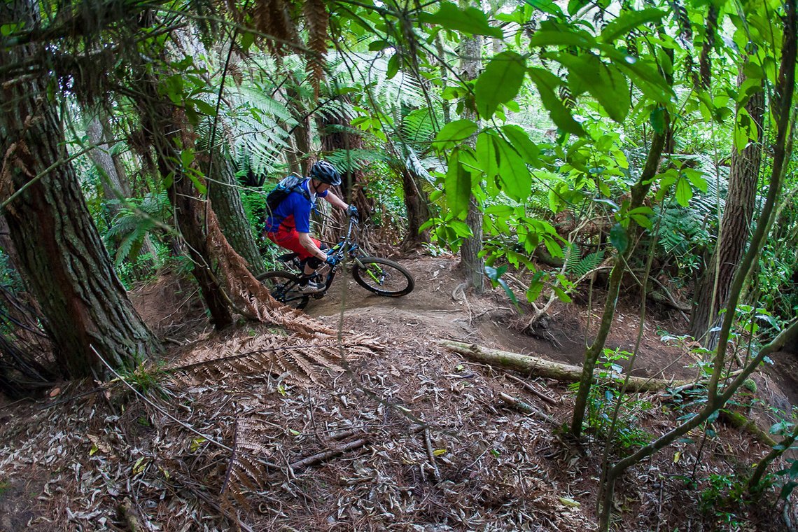 Rotorua #7