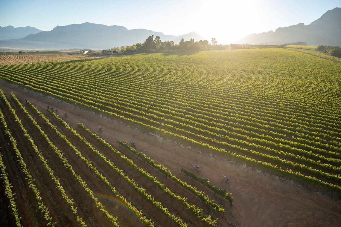 Riders during stage 1 of the 2022 Absa Cape Epic Mountain Bike stage race from Lourensford Wine Estate to Lourensford Wine Estate, South Africa on the 21st March 2022. Photo by Gary Perkin