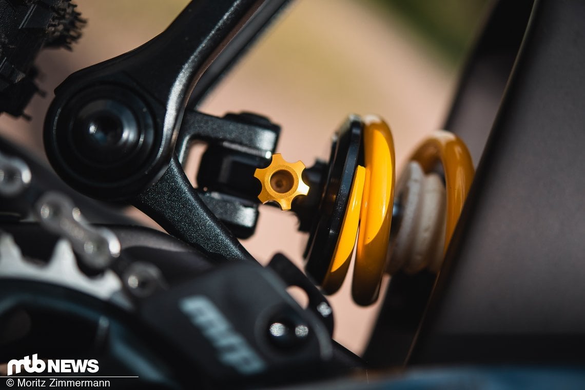 specialized-enduro-ltd-5462