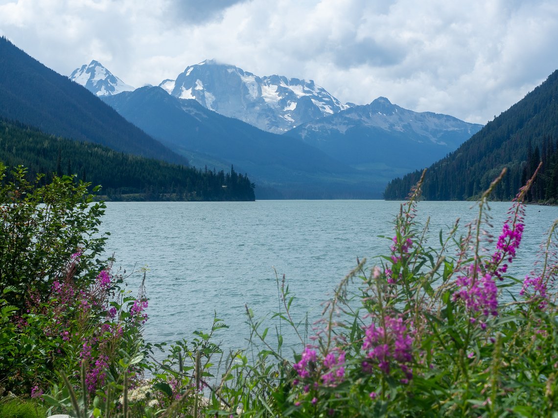 Gletscher, Wald, See und Blumen – man munkelt, B.C. sei recht schön