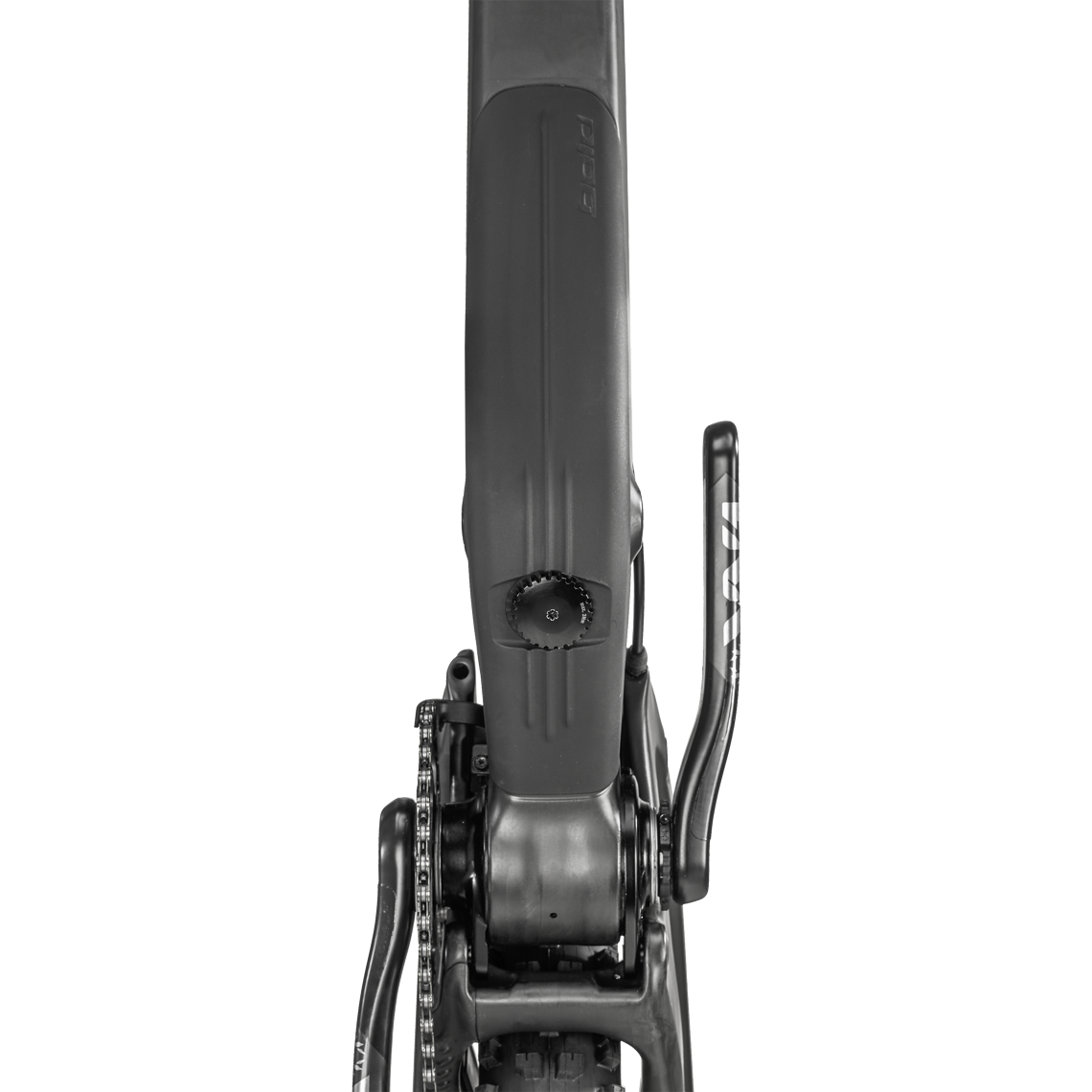 BOLD LINKIN 150 ULTIMATE 2022 STUDIO LEISER 003
