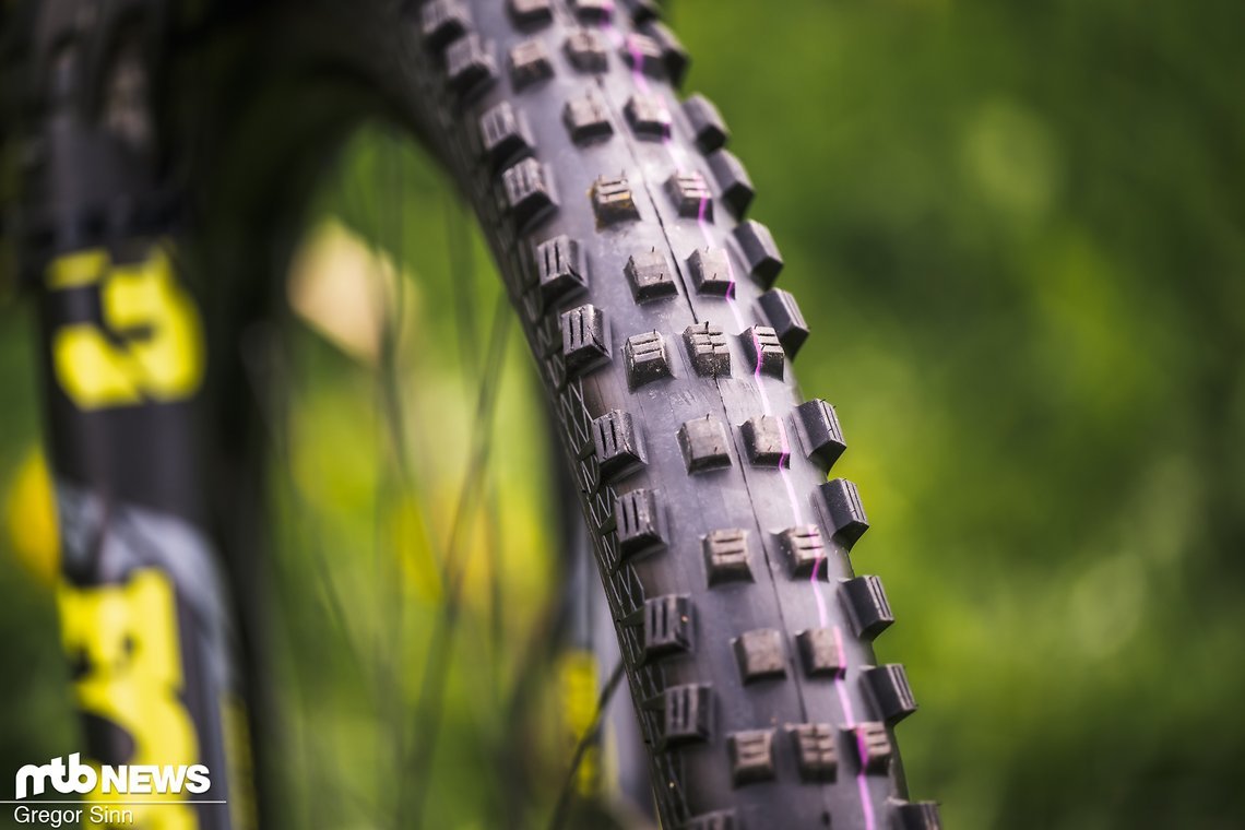 Pivot-Firebird-2576