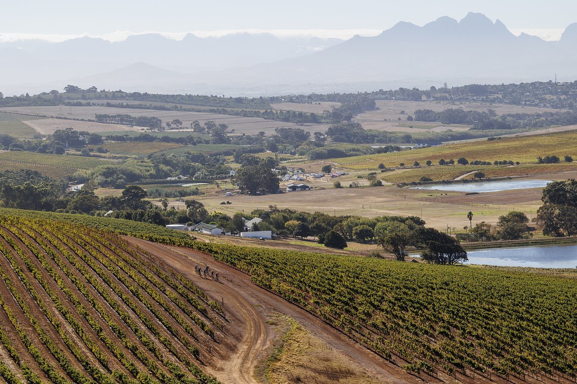 Riders during Stage 1 of the 2025 Absa Cape Epic Mountain Bike stage race held at Meerendal Wine Estate, Cape Town, South Africa on the 17th March 2025. Photo by Sam Clark/Cape Epic
PLEASE ENSURE THE APPROPRIATE CREDIT IS GIVEN TO THE PHOTOGRAPHER AN