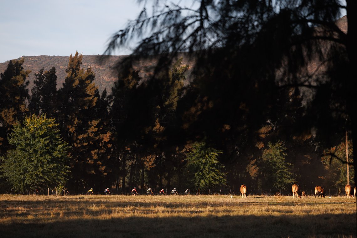 Riders during Stage 1 of the 2024 Absa Cape Epic Mountain Bike stage race from Saronsberg Wine Estate to Saronsberg Wine Estate, Tulbagh, South Africa on the 18th March 2024. Photo by Nick Muzik/Cape Epic
PLEASE ENSURE THE APPROPRIATE CREDIT IS GIVEN