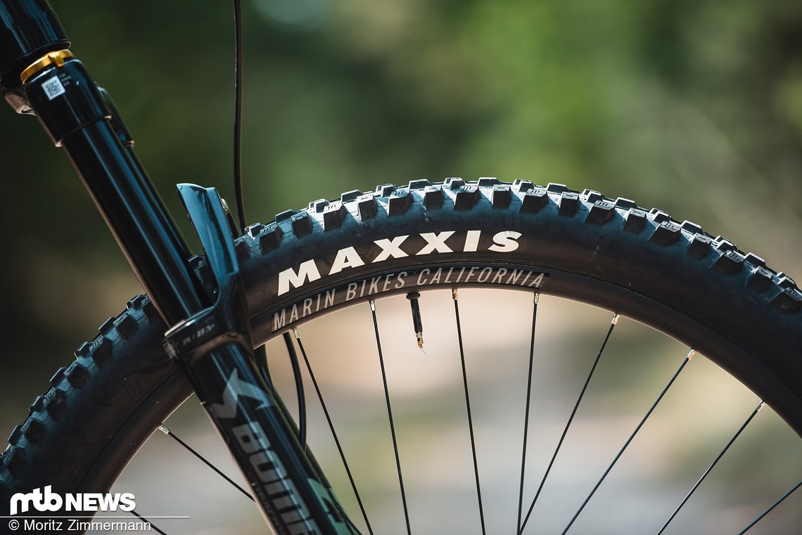 Die hauseigenen Laufräder sind mit Maxxis Assegai Reifen bestückt.