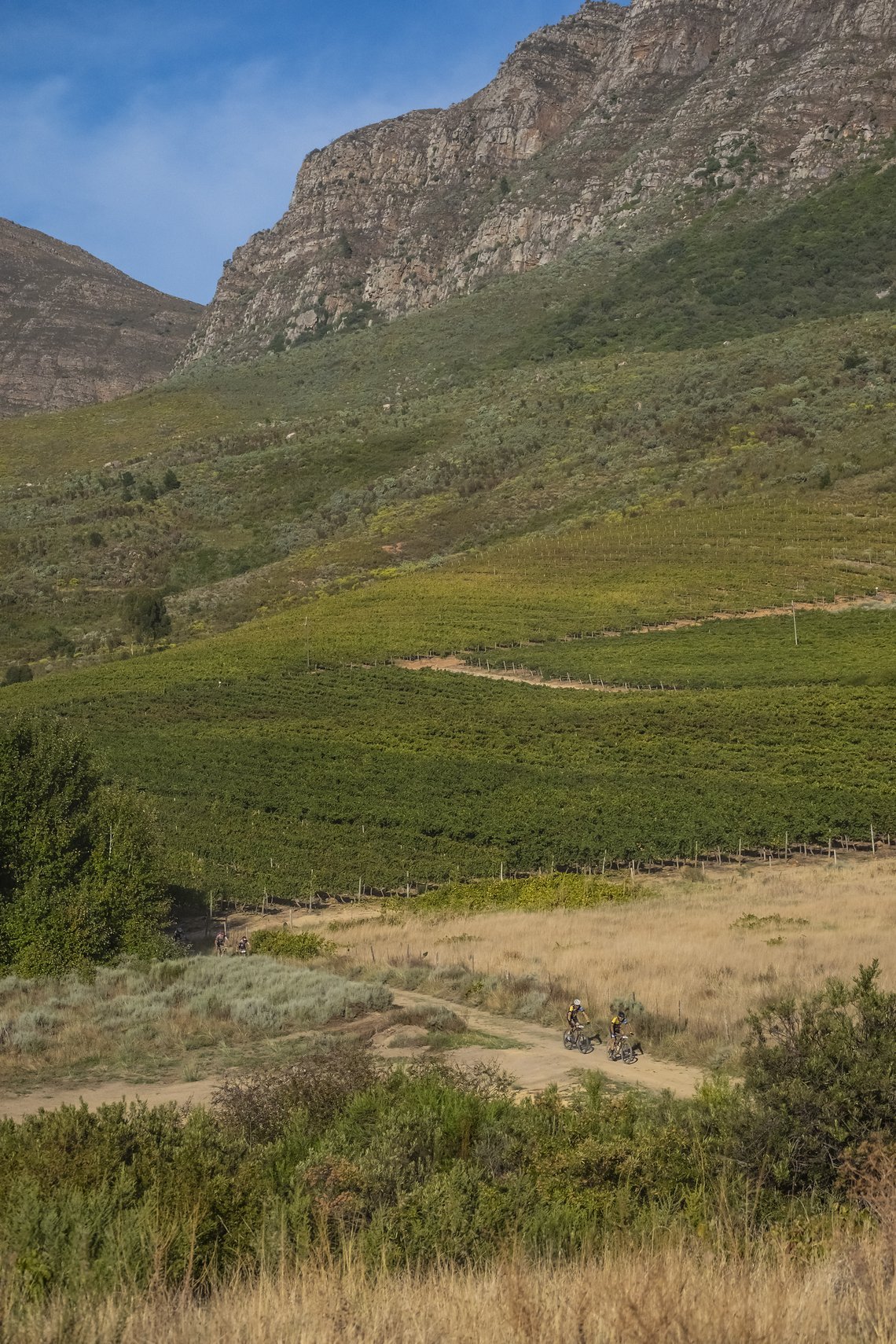 Scenic during Stage 1 of the 2024 Absa Cape Epic Mountain Bike stage race from Saronsberg Wine Estate to Saronsberg Wine Estate, Tulbagh, South Africa on the 18th March 2024. Photo by Dominic Barnardt / Cape Epic
PLEASE ENSURE THE APPROPRIATE CREDIT 