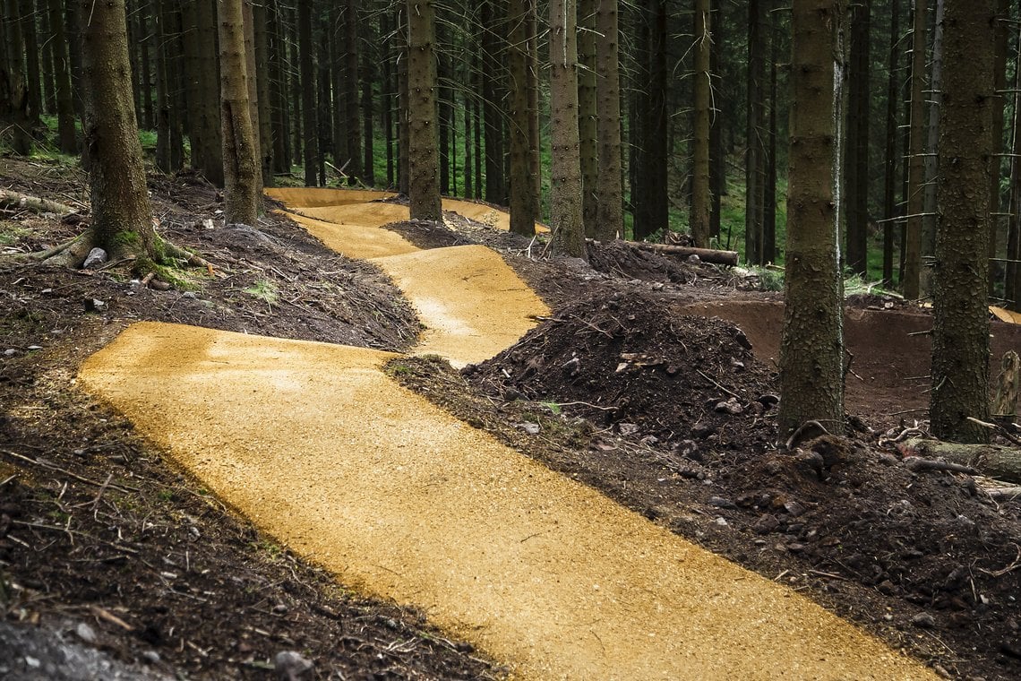 Der Flowtrail zieht sich verschnörkelt durch den Wald und adressiert sich an Anfänger und Familien.