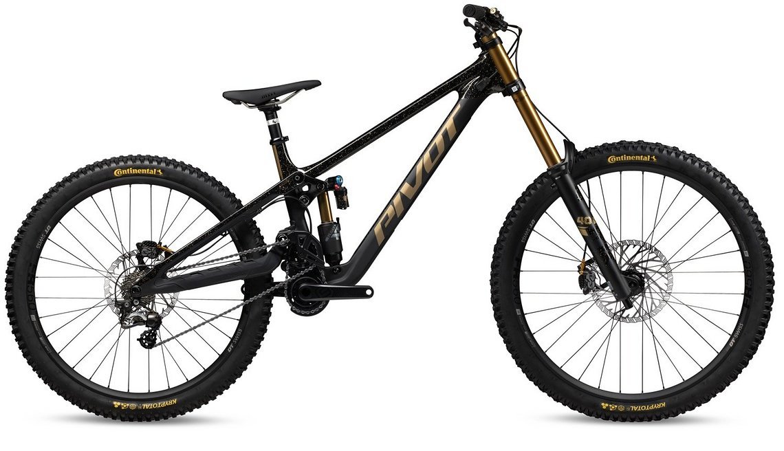 Das Pivot Phoenix Pro kostet 9.499 €.