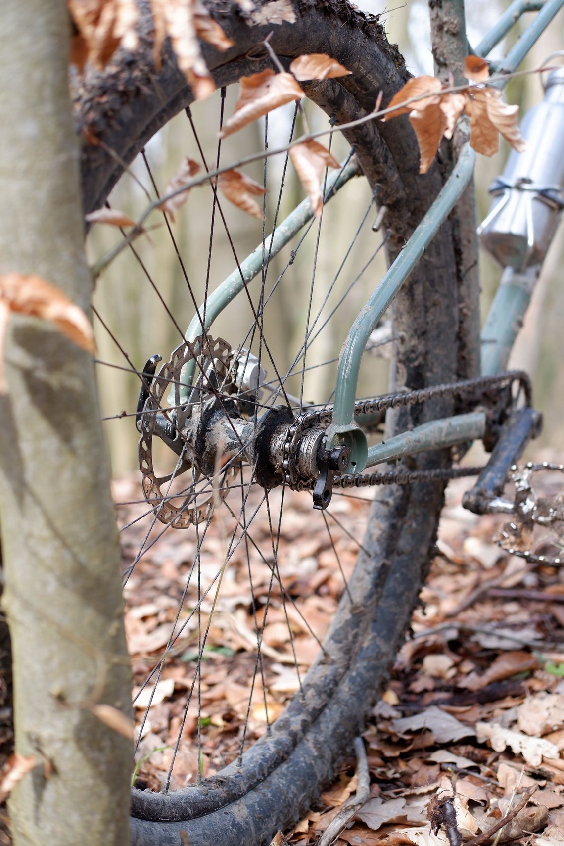 Zu Beginn war das Bike mit einer Rohloff-Getriebenabe aufgebaut, mittlerweile ist es aber wieder mit einem Singlespeed-Antrieb bestückt