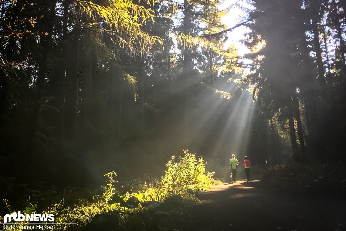 Außergewöhnlicher Zeitpunkt II: Kein Biker, aber dafür Sonnenstrahlen, wie sie perfekter kaum durch die Bäume scheinen.