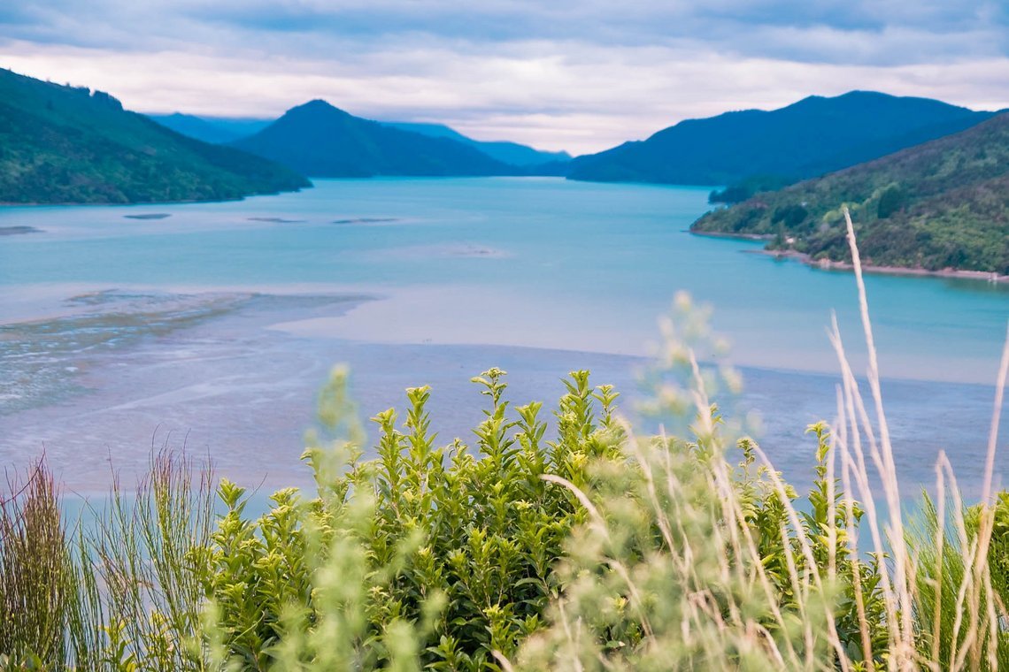Die Aussichten in Neuseeland hauen uns immer wieder vom Hocker – Marlborough Sounds
