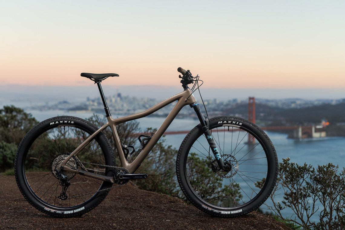 Ibis DV9 Muddy Waters Brown Hardtail (3)