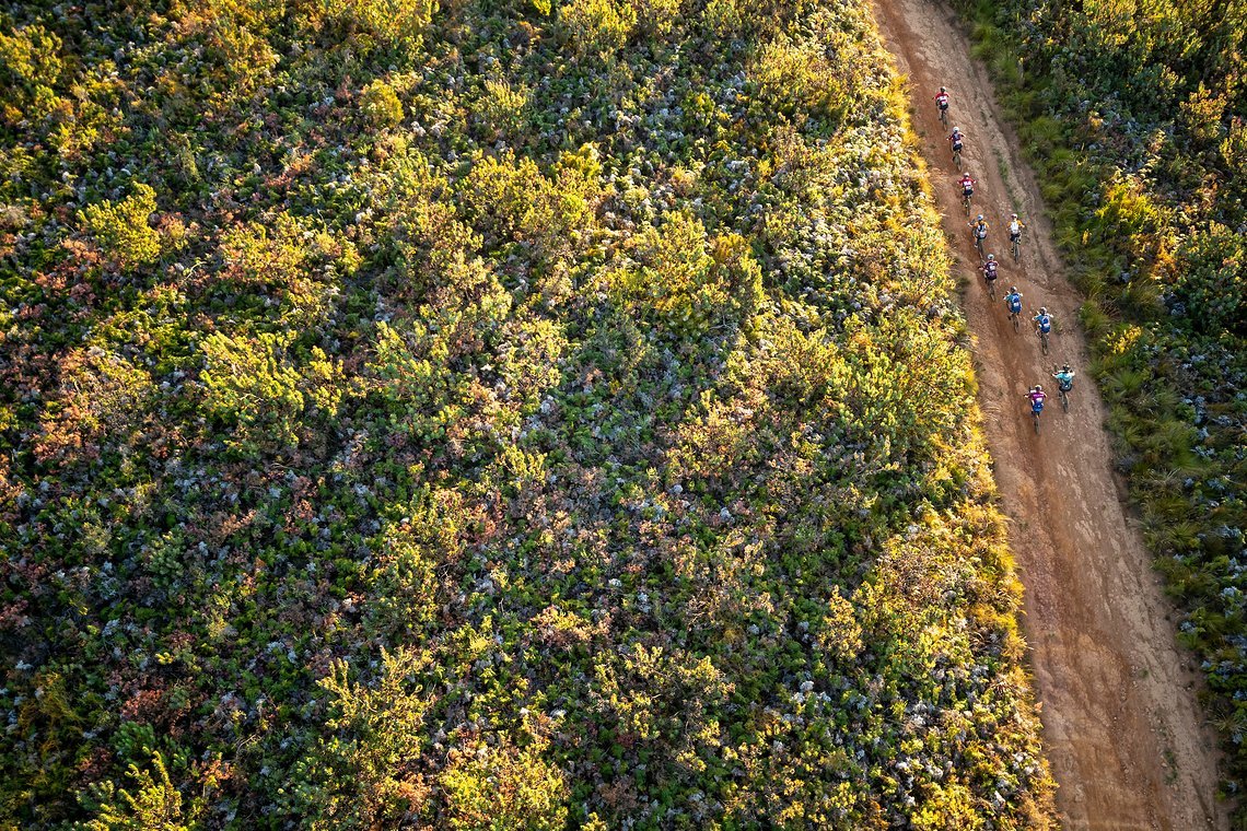 The women’s field climbs in Helderberg Nature Reserve during stage 1 of the 2022 Absa Cape Epic Mountain Bike stage race from Lourensford Wine Estate to Lourensford Wine Estate, South Africa on the 21st March 2022. Photo by Gary Perkin