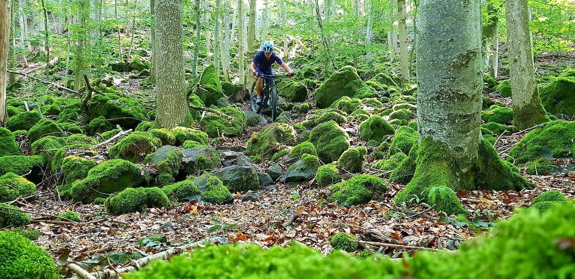 ... über technische Trails ...