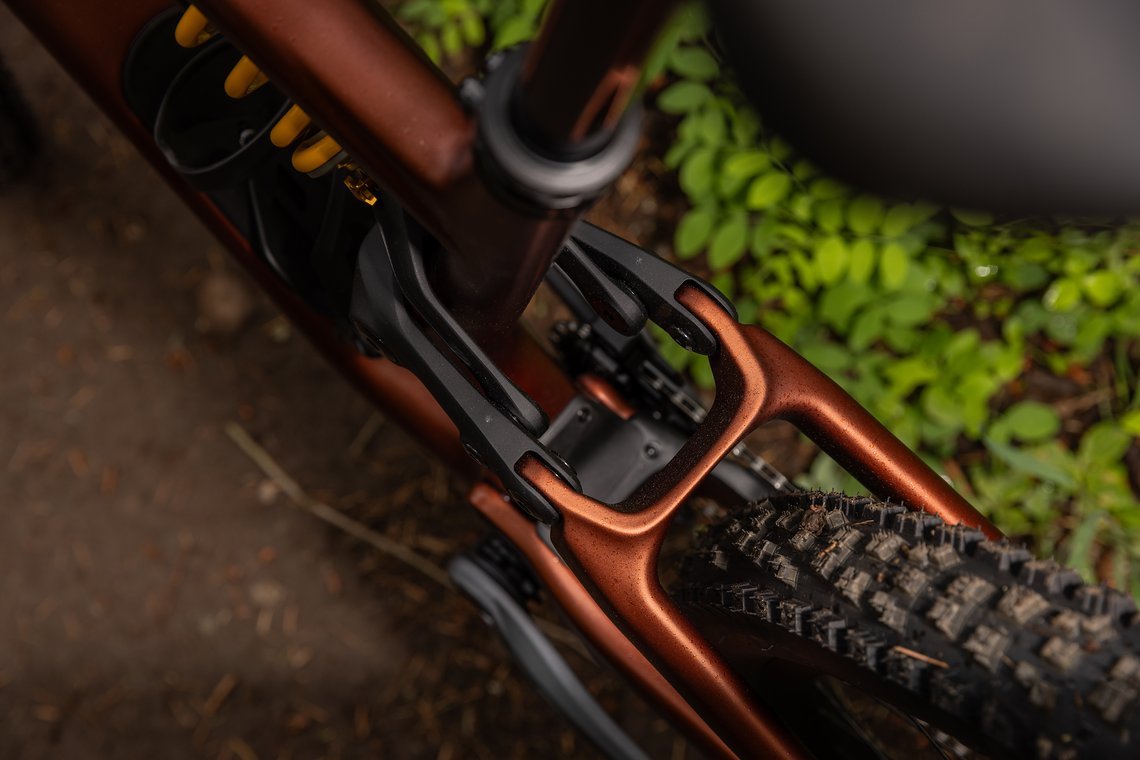Es ist möglich, das 29er-Stumpy in den Größen S3 bis S6 auf Mullet-Betrieb umzustellen