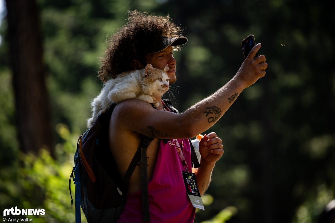 Mit so einem süßen Kätzchen würde ich auch erstmal ein Selfie machen.
