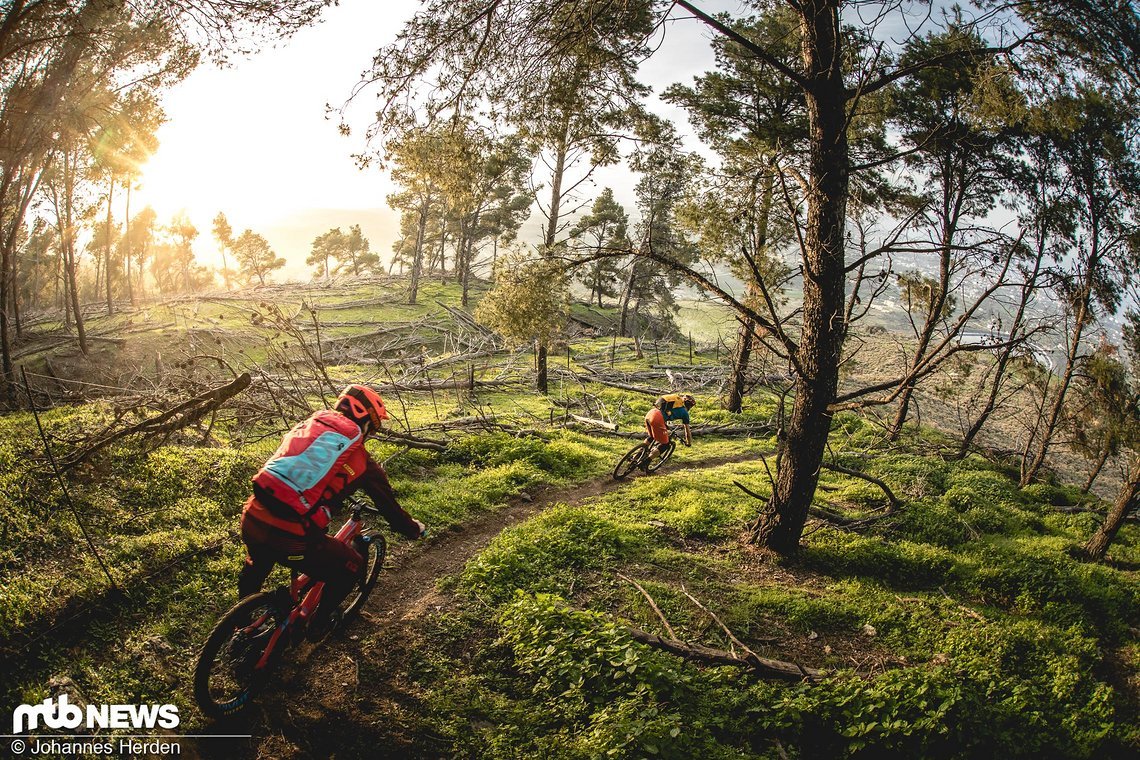 Die Sonne passt perfekt und der Trail bleibt flowig. Es geht aus dem Wald hinaus...