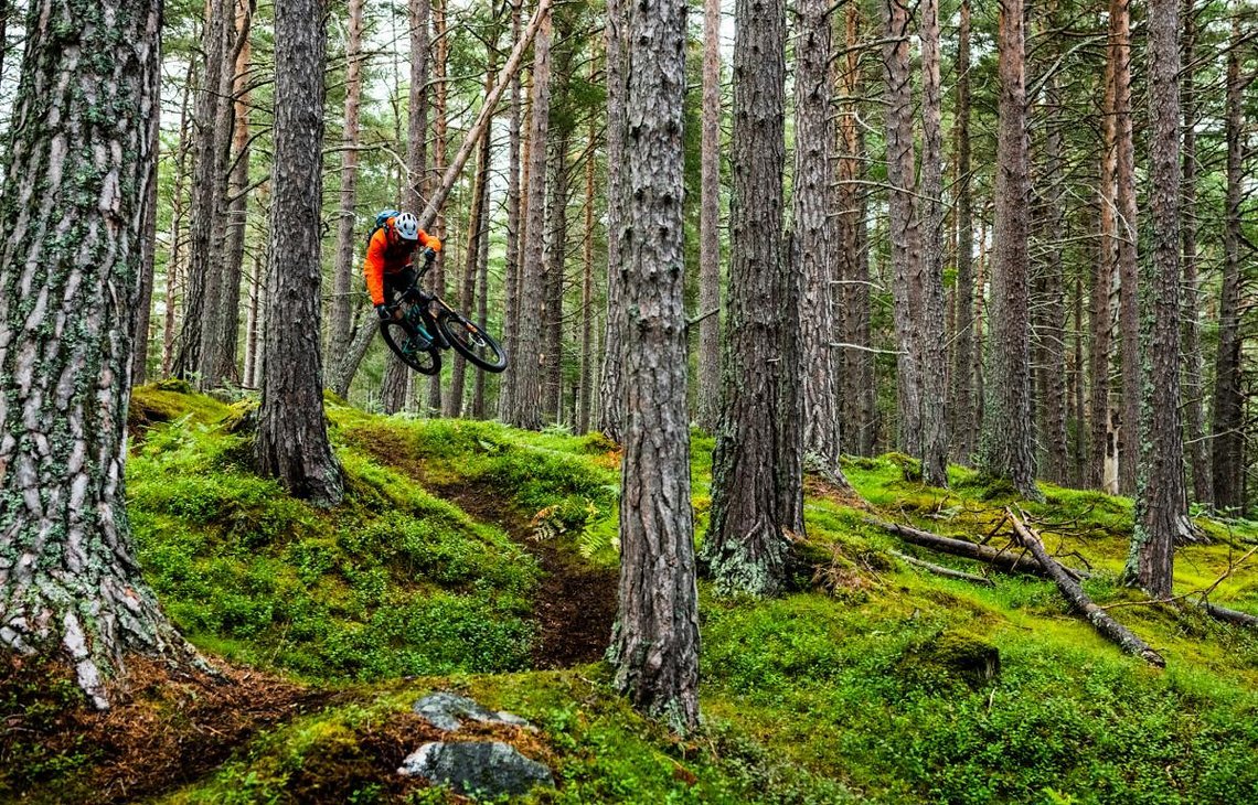 Norway 6