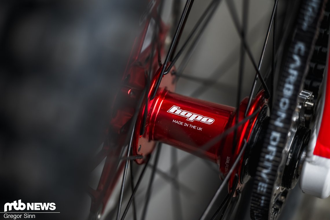 Zerode-Eleonora-Farina-3041