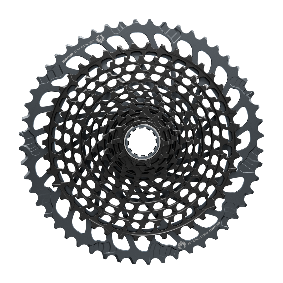 Die XG1295-Kasette der X01-Stufe kommt in dezentem Schwarz und bringt 350 g auf die Waage