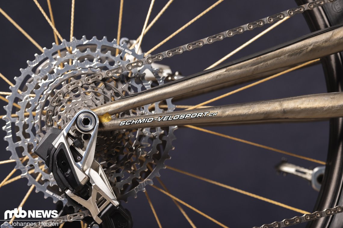 Scar Cycles-16