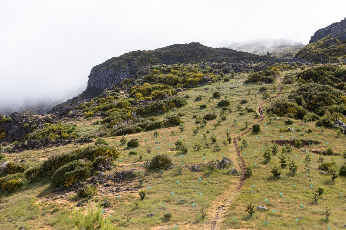 Epische Stages und Natur satt