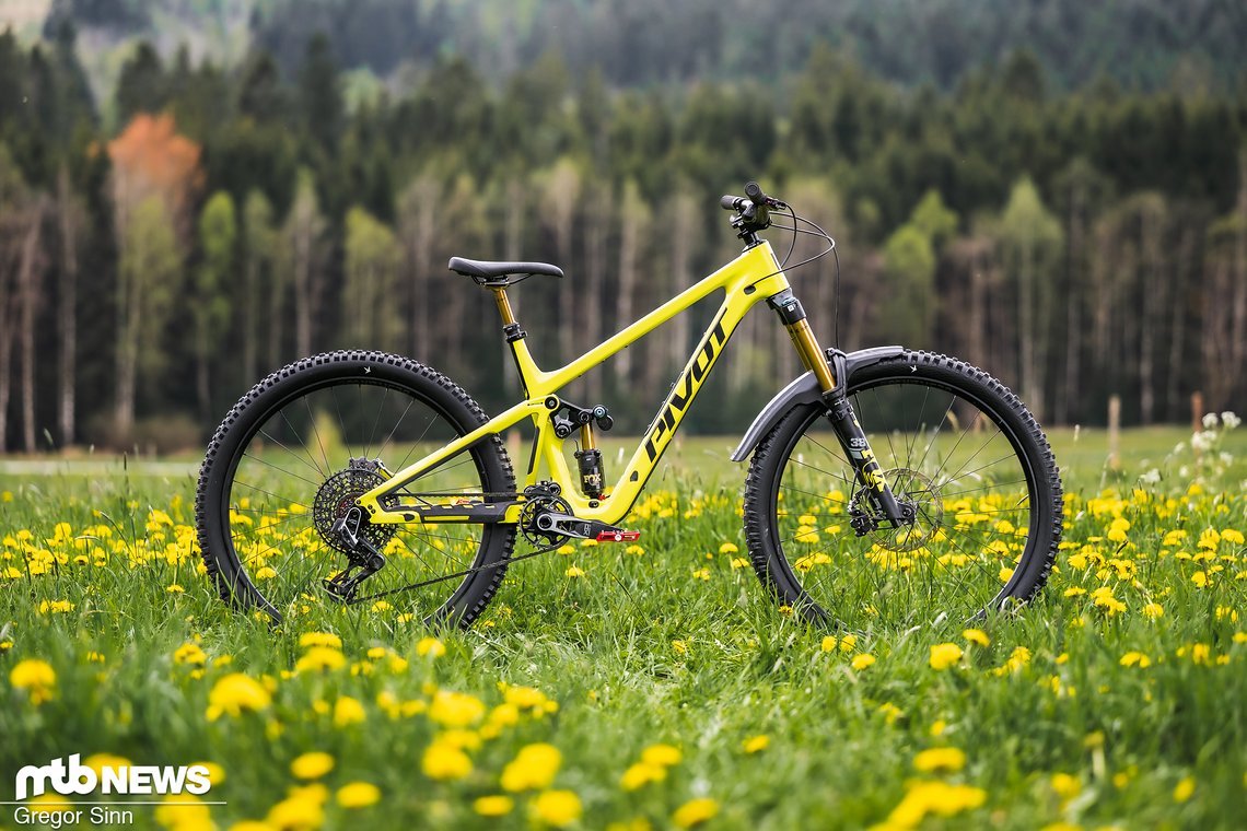 Pivot-Firebird-2545