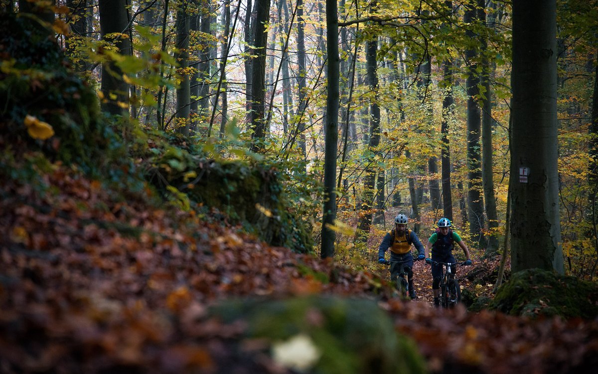 Einige der Trails sind auch bergauf gut fahrbar Einige der Trails sind auch bergauf gut fahrbar