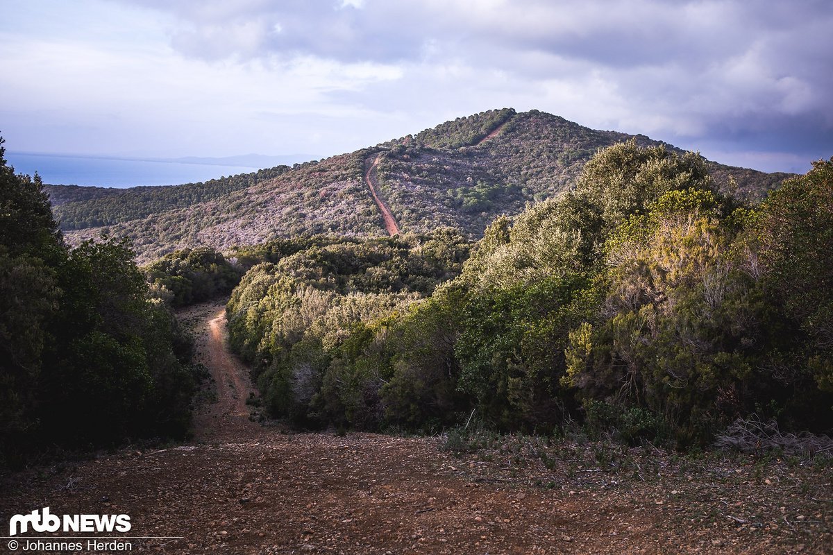 Willkommen in der Toskana: Sanfte Hügel, viel Wald und weite Blicke. Dass sich in diesen Wäldern harte Trails verbergen, denkt man nicht zwingend Willkommen in der Toskana: Sanfte Hügel, viel Wald und weite Blicke. Dass sich in diesen Wäldern harte Trails verbergen, denkt man nicht zwingend