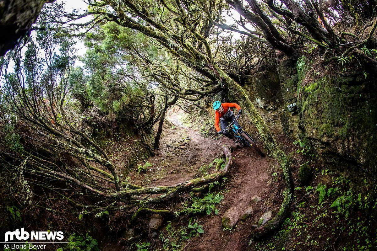 Insgesamt ist Canyon mit dem neuen Torque ein sehr guter Freerider gelungen, der von sprunglastigen Strecken bis hin zum Downhill-Einsatz eine gute Figur macht Insgesamt ist Canyon mit dem neuen Torque ein sehr guter Freerider gelungen, der von sprunglastigen Strecken bis hin zum Downhill-Einsatz eine gute Figur macht