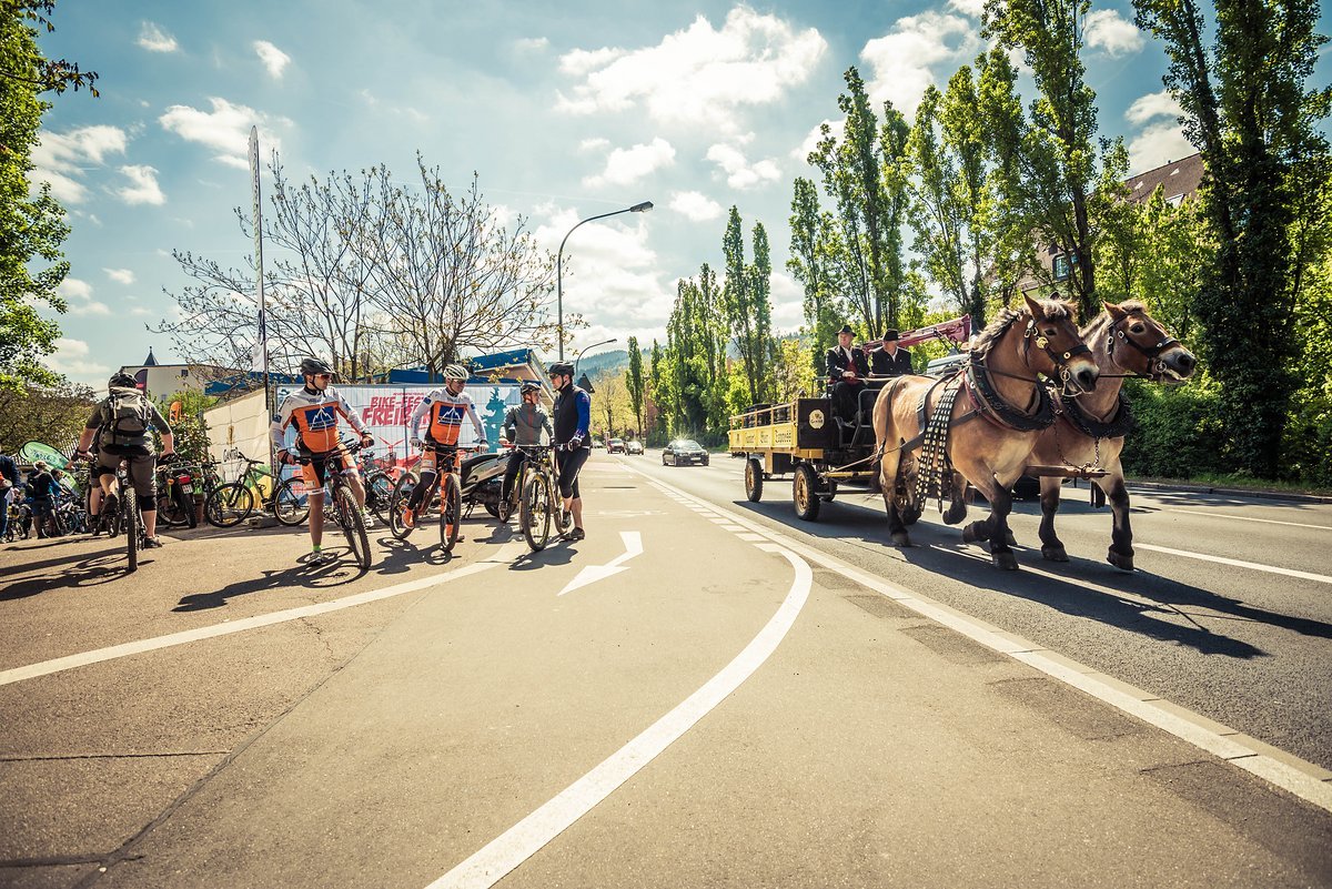 Brauerreipferde sind vermutlich eine der Besonderheiten des Freiburger Bikefestivals Brauerreipferde sind vermutlich eine der Besonderheiten des Freiburger Bikefestivals