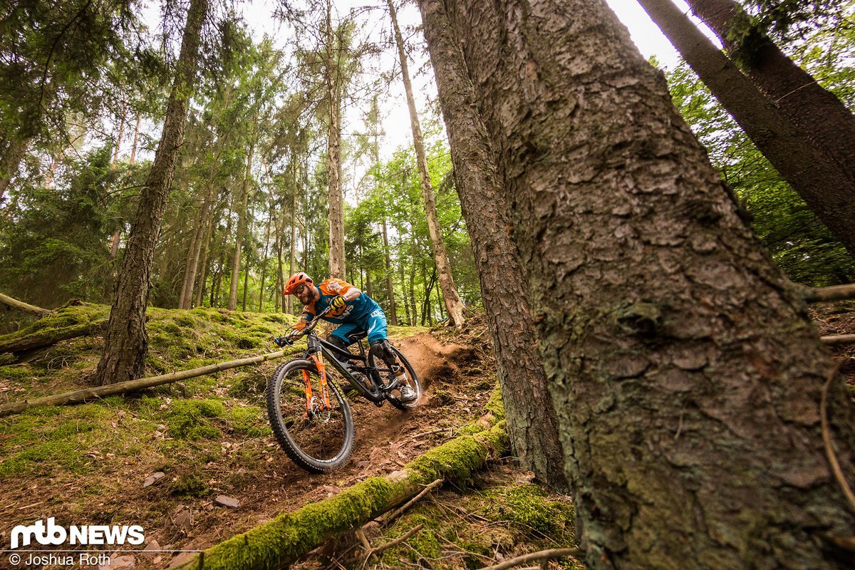 Party im Wald Party im Wald