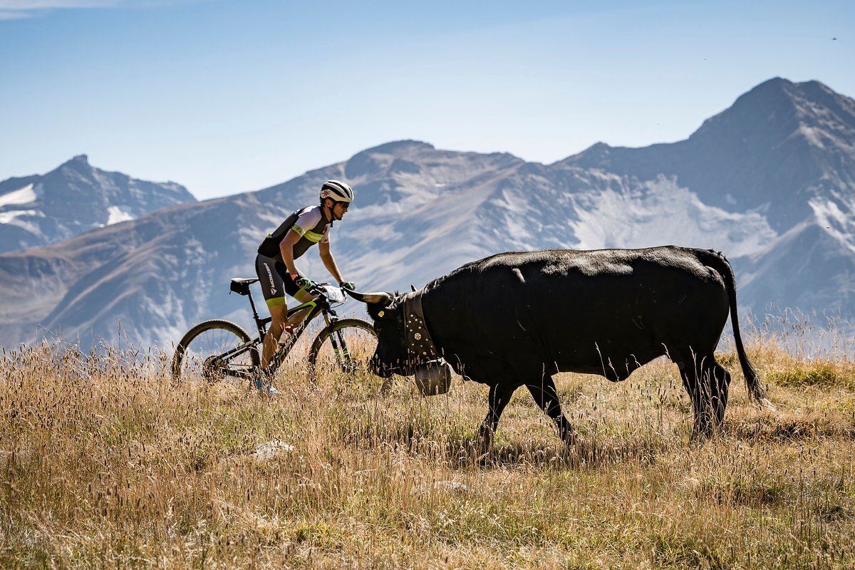 during Stage 1 of the 2018 Perskindol Swiss Epic held in Bettmeralp, Valais, Switzerland on 11 September 2018. Photo by Alex Buscher.
PLEASE ENSURE THE APPROPRIATE CREDIT IS GIVEN TO THE PHOTOGRAPHER during Stage 1 of the 2018 Perskindol Swiss Epic held in Bettmeralp, Valais, Switzerland on 11 September 2018. Photo by Alex Buscher.
PLEASE ENSURE THE APPROPRIATE CREDIT IS GIVEN TO THE PHOTOGRAPHER