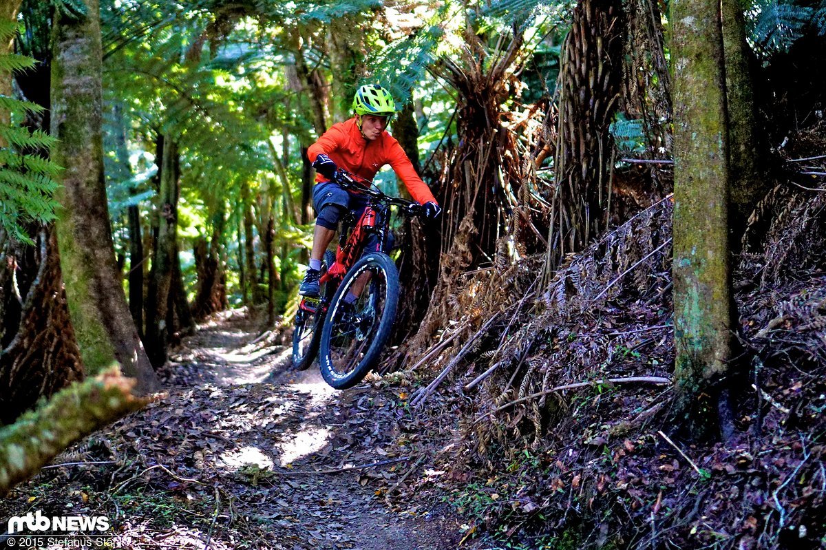 Zweite Hälfte des Trails Zweite Hälfte des Trails
