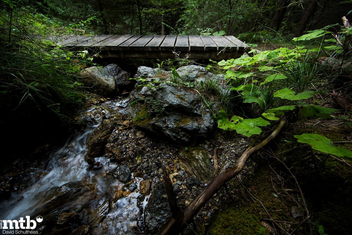 Eine schmale Holzbrücke überspannt den namenlosen Bach kurz unterhalb
der Burgruine Belfort. Eine schmale Holzbrücke überspannt den namenlosen Bach kurz unterhalb
der Burgruine Belfort.