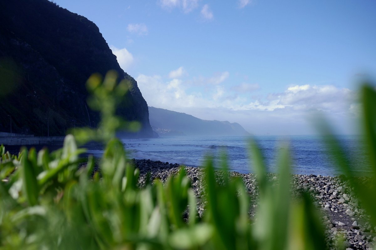 Steilküste, Felsstrand, grün. Das ist Madeira Steilküste, Felsstrand, grün. Das ist Madeira