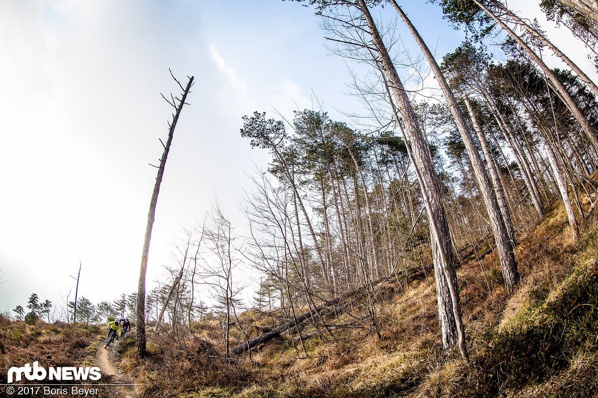 Auf gemäßigten Trails geht es los Auf gemäßigten Trails geht es los