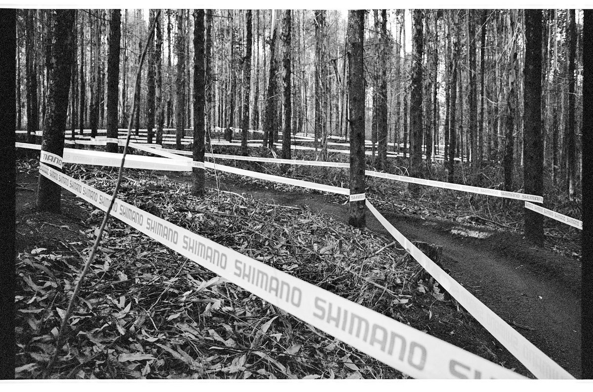 2014, WC Pietermaritzburg, beim XC-Strecke ablaufen. Manchmal trifft mich der Blitz wenn ich Chaos und Ordnung so ineinander verwoben sehe. 2014, WC Pietermaritzburg, beim XC-Strecke ablaufen. Manchmal trifft mich der Blitz wenn ich Chaos und Ordnung so ineinander verwoben sehe.