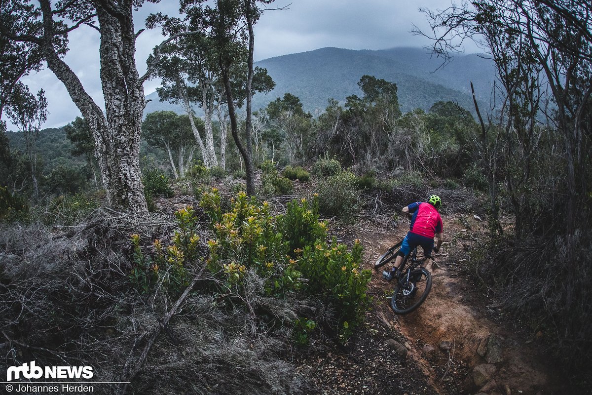 Perfekte Testbedingungen im italienischen Mountainbike-Paradies Punta Ala Perfekte Testbedingungen im italienischen Mountainbike-Paradies Punta Ala