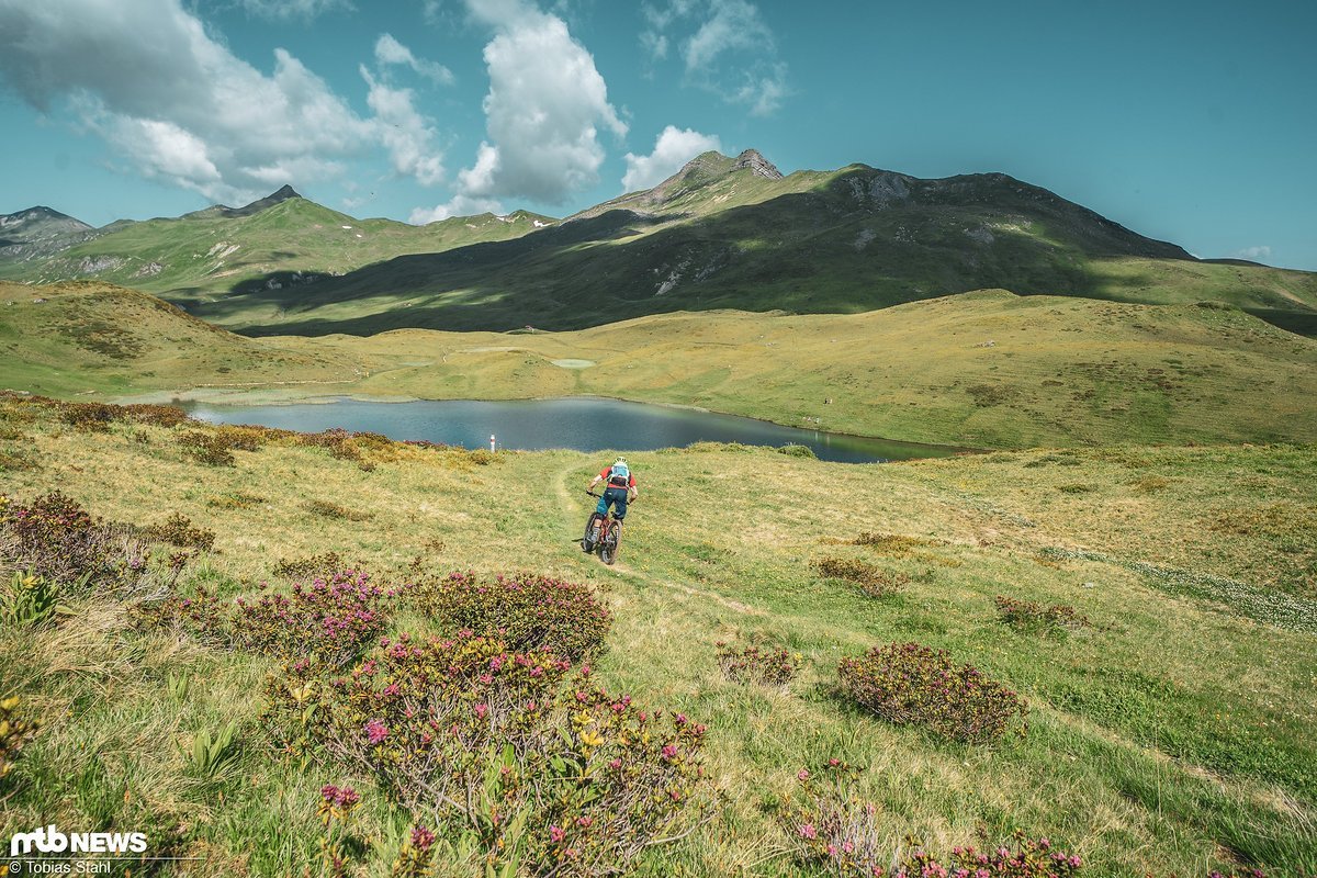 Die Fideriser Heuberge heißen nicht ohne Grund so Die Fideriser Heuberge heißen nicht ohne Grund so
