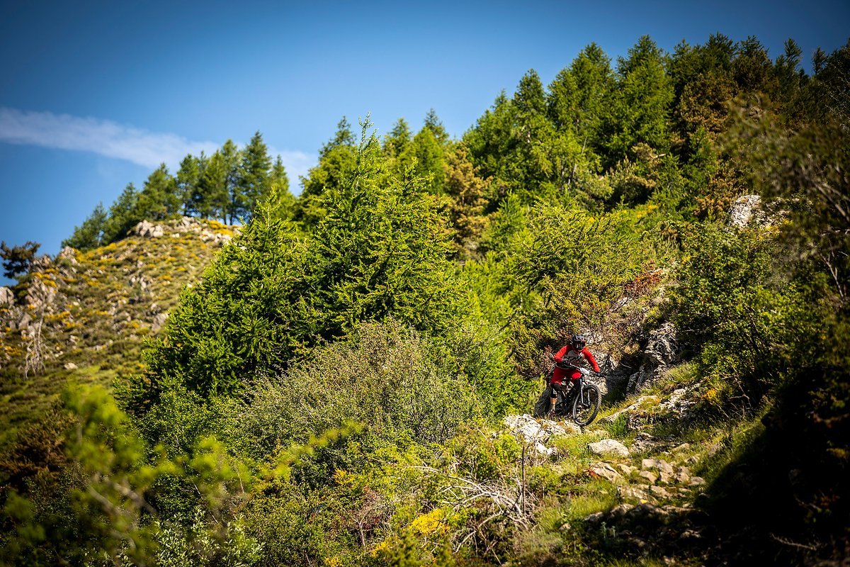 Stage 12 lief so gar nicht nach Plan für Gregor Stage 12 lief so gar nicht nach Plan für Gregor