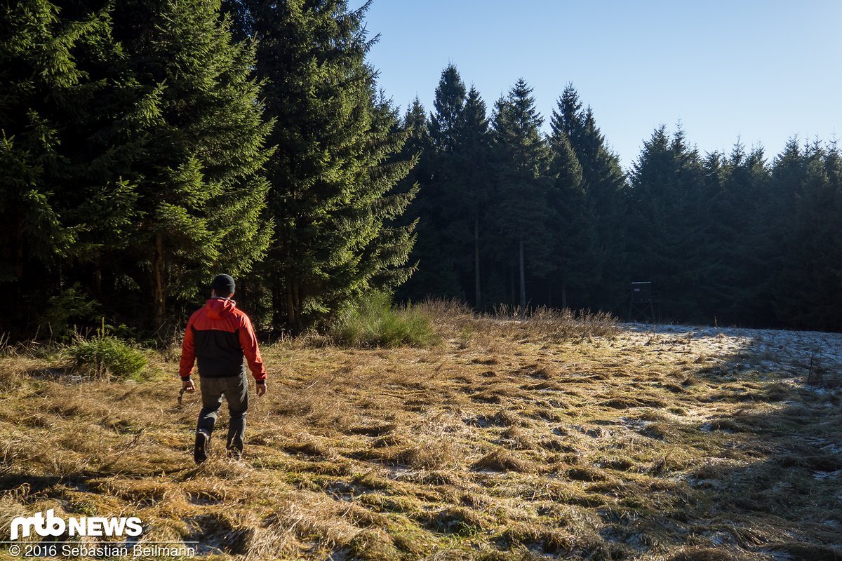Einige Bereiche im Bikepark-Gelände, wie diese Lichtung, werden aus Naturschutzgründen nicht für die Strecken genutzt Einige Bereiche im Bikepark-Gelände, wie diese Lichtung, werden aus Naturschutzgründen nicht für die Strecken genutzt