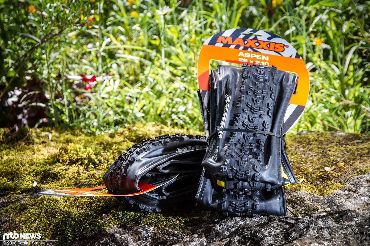 Der schnellste Reifen aus unserem Maxxis 3-er Test: der Maxxis Aspen eXCeption in der Dimension 29 x 2,1" Der schnellste Reifen aus unserem Maxxis 3-er Test: der Maxxis Aspen eXCeption in der Dimension 29 x 2,1"