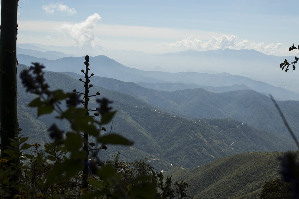 Eine seltene, da offene Sicht über die Landschaft – die meiste Zeit fährt man durch den Wald und sieht diesen vor lauter Bäumen nicht. Eine seltene, da offene Sicht über die Landschaft – die meiste Zeit fährt man durch den Wald und sieht diesen vor lauter Bäumen nicht.