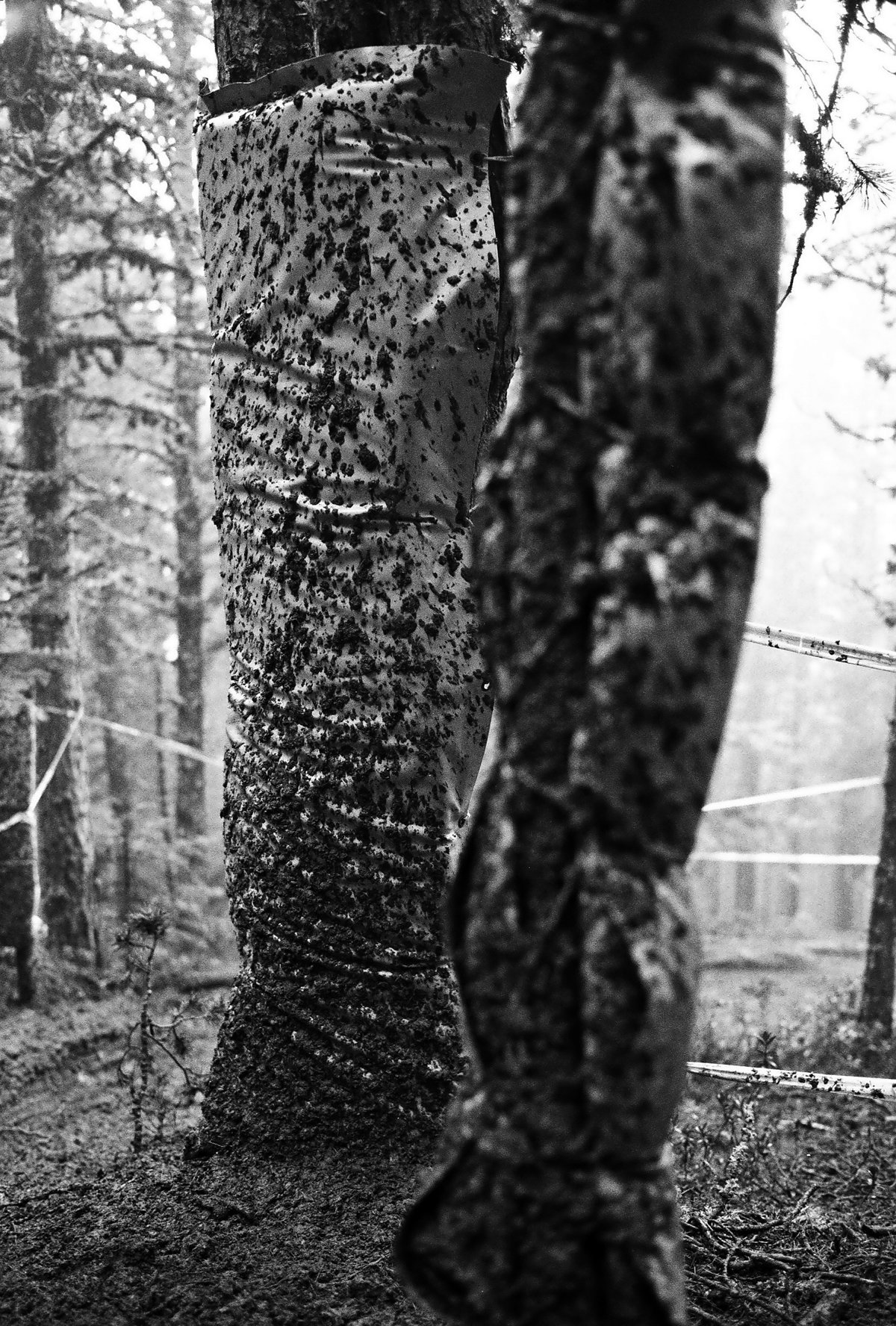 2008, WC Vallnord Andorra. Meine ersten Saison in der ich die analoge LEICA M6 konsequent als Arbeitswerkzeug eingesetzt habe. Es kam schon damals nur Schwarz / Weiß in Frage. Das Bild hätte als farbiges Digitalfoto nicht funktioniert. 2008, WC Vallnord Andorra. Meine ersten Saison in der ich die analoge LEICA M6 konsequent als Arbeitswerkzeug eingesetzt habe. Es kam schon damals nur Schwarz / Weiß in Frage. Das Bild hätte als farbiges Digitalfoto nicht funktioniert.