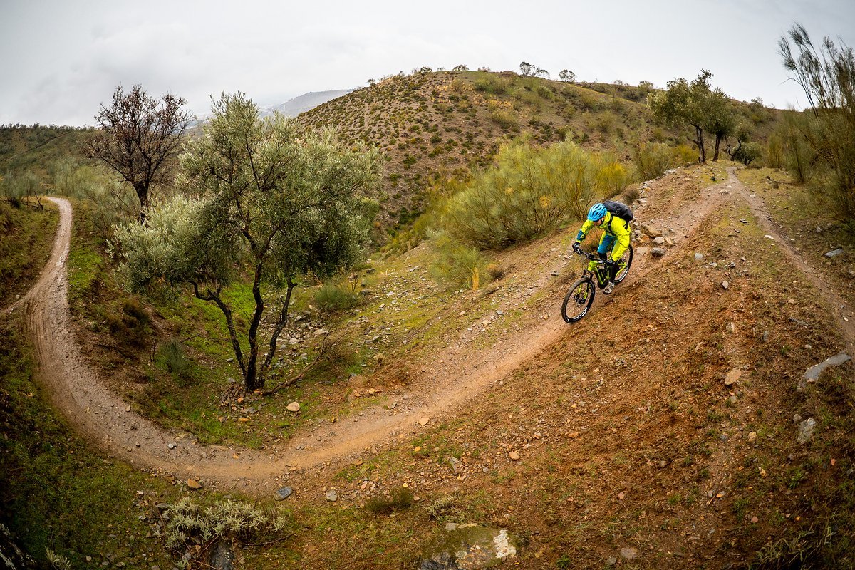 Hier fühlt sich das Rad wohl: Flowige Trails mit nicht zu steilen Auf- und Abstiegen Hier fühlt sich das Rad wohl: Flowige Trails mit nicht zu steilen Auf- und Abstiegen