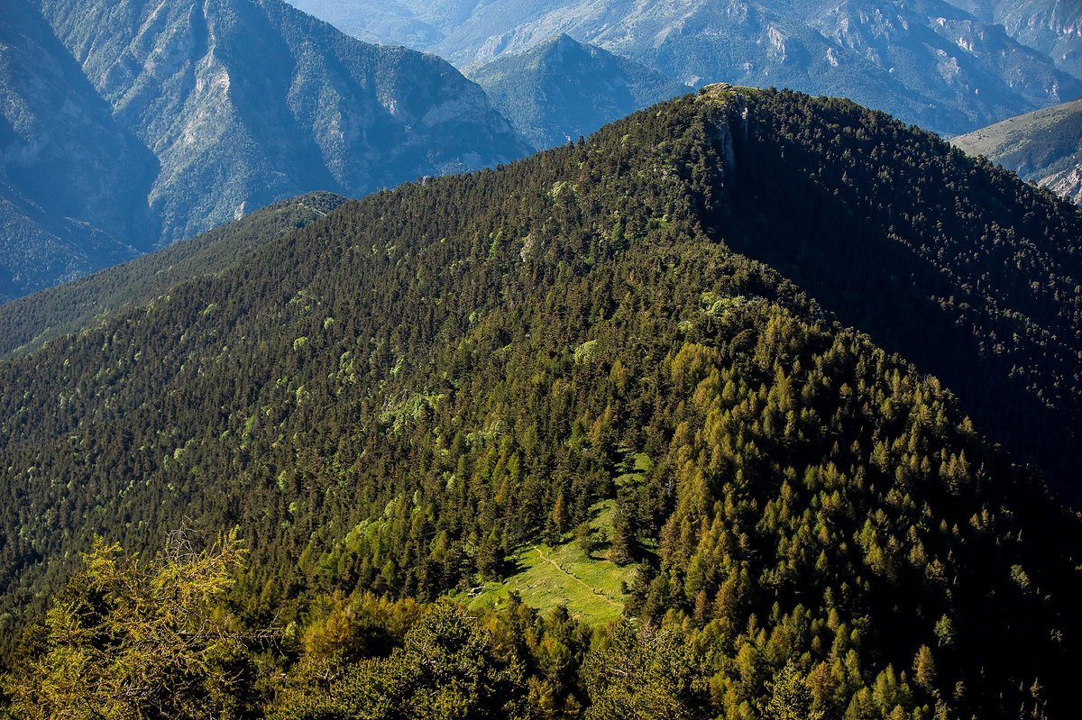 Hier wird der werte Herr Martin einiges aufzuholen haben – die Fahrer haben ein gutes Stück Vorsprung vor den Fotografen Hier wird der werte Herr Martin einiges aufzuholen haben – die Fahrer haben ein gutes Stück Vorsprung vor den Fotografen